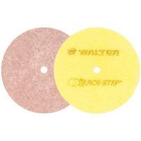 Quick-Step Instant Polish Discs, 5" Dia. GTA Hardware Inc
