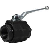 Robinet &agrave; bille haute pression &agrave; passage int&eacute;gral, Acier, Manuel, FNPT x FNPT GTA Hardware Inc