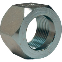&eacute;crou hexagonal de minage Dixon, 1", Zingu&eacute;, Filetage NPT GTA Hardware Inc