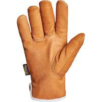 Endura&reg; Gloves, Large, Synthetic Palm, Thinsulate Inner Lining GTA Hardware Inc
