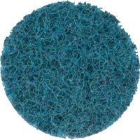 Scotch-Brite Roloc Surface Conditioning Disc, 1" Dia. GTA Hardware Inc