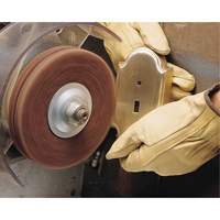 Scotch-Brite High Strength Discs (Aluminum Oxide), 6" Dia., Very Fine Grit, Aluminum Oxide GTA Hardware Inc