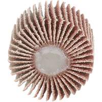 Flap Disc 747D, Aluminum Oxide/Ceramic, 80 Grit, 1" x 1" x 1/4" GTA Hardware Inc