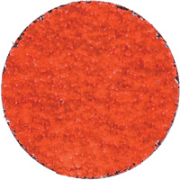 Blaze R980P Quick-Change Cloth Disc, 2" Dia., 36 Grit, Ceramic Alumina GTA Hardware Inc