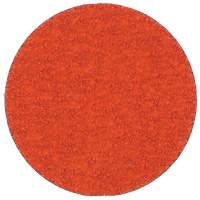 Blaze R980P Quick-Change Cloth Disc, 2" Dia., 60 Grit, Ceramic Alumina GTA Hardware Inc