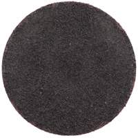 Gemini R766/R228 Quick-Change Cloth Disc, 2" Dia., 36 Grit, Aluminum Oxide GTA Hardware Inc