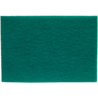 Tampons manuels Bear-Tex, Oxyde d'aluminium, 6" x 9", Grain Tr&egrave;s fin GTA Hardware Inc