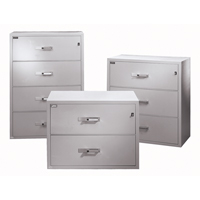 Fire Resistant Filing Cabinets, Steel, 4 Drawers, 38-3/4" W x 23-1/2" D x 55" H, Black GTA Hardware Inc