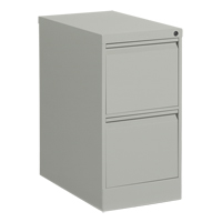 Classeur vertical, Acier, 2 tiroirs, 15-1/7" la x 25" p x 29" h, Gris GTA Hardware Inc