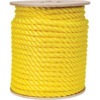 Corde jaune tress&eacute;e, Polypropyl&egrave;ne, 300' GTA Hardware Inc