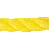 Corde jaune tress&eacute;e, Polypropyl&egrave;ne, 300' GTA Hardware Inc