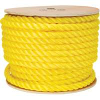 Corde jaune tress&eacute;e, Polypropyl&egrave;ne, 144' GTA Hardware Inc