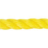 Corde jaune tress&eacute;e, Polypropyl&egrave;ne, 144' GTA Hardware Inc