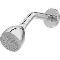 One-Function Showerhead GTA Hardware Inc
