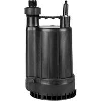 Pompe utilitaire en thermoplastique, 115 V, 2200 gal/h, 1/4 CV GTA Hardware Inc