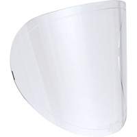 Lentilles de rechange GTA Hardware Inc