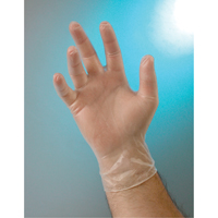 Examination Grade Gloves, Small, Vinyl, 4-mil, Powder-Free, Clear, Class 2 GTA Hardware Inc