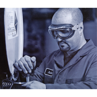 Lunettes de s&eacute;curit&eacute; &agrave; coques Uvex Flex Seal, Lentille 3,0, Antibu&eacute;e, Ventilation Indirecte GTA Hardware Inc