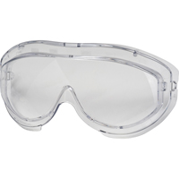 Lentille de rechange pour les lunettes &agrave; coques de s&eacute;curit&eacute; Uvex Flex Seal, Antibu&eacute;e, Transparent, Flex Seal GTA Hardware Inc