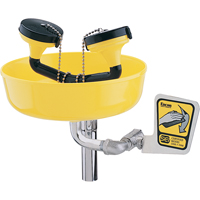 Eyewash Station, Supply Pipe Mount Installation, Plastic Bowl GTA Hardware Inc
