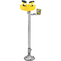 Eyewash Station, Pedestal Installation, Plastic Bowl GTA Hardware Inc
