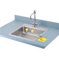 Swing-Away Eyewash Station, Counter-Mount Installation GTA Hardware Inc