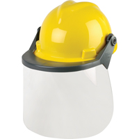 Head & Face Protection Systems GTA Hardware Inc