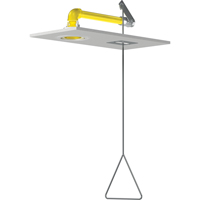 Horizontal Supply Emergency Shower Stations, Ceiling-Mount GTA Hardware Inc