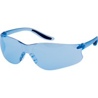 Z500 Series Safety Glasses, Blue Lens, Anti-Scratch, ANSI Z87+/Meets/Exceeds CSA Z94.3 GTA Hardware Inc