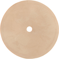 Survivair&reg; Inhalation Valve GTA Hardware Inc