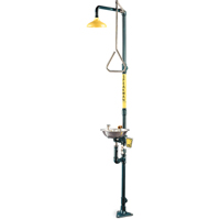 Safe-T-Zone&reg; Combination Shower & Eye/Face Wash GTA Hardware Inc
