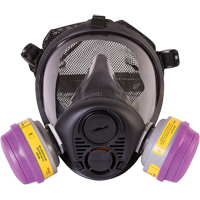 North&reg; RU6500 Series Full Facepiece Respirator, Silicone, Small GTA Hardware Inc