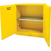 Flammable Storage Cabinet, 30 gal., 2 Door, 43" W x 44" H x 18" D GTA Hardware Inc