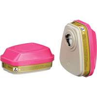 Cartouches pour respirateur s&eacute;rie 6000, Cartouche gaz/vapeur, Gaz multiples/Vapeurs/P100 GTA Hardware Inc