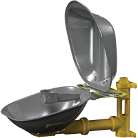 Halo Eyewash Stations, Wall-Mount Installation, Stainless Steel Bowl GTA Hardware Inc