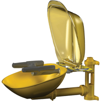 Halo Face/Eyewash Stations, Wall-Mount Installation, Plastic Bowl GTA Hardware Inc