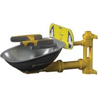 Halo Face/Eyewash Stations, Wall-Mount Installation, Stainless Steel Bowl GTA Hardware Inc
