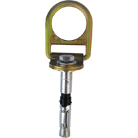 PRO Concrete D-ring Anchor with Bolt, Concrete/D-Ring, Permanent Use GTA Hardware Inc