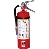 Extincteur d'incendie, ABC, Capacit&eacute; 5 lb GTA Hardware Inc