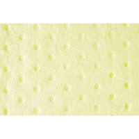 Feuilles absorbantes li&eacute;es de premi&egrave;re qualit&eacute;, Mati&egrave;res dangereuses, 15" x 18", 30 gal. d'absorption GTA Hardware Inc