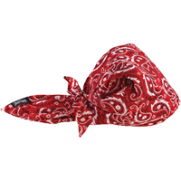 Chill-Its&reg; 6710CT Cooling Triangle Hats, Red GTA Hardware Inc