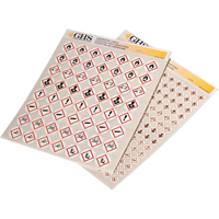 GHS Hazard Pictogram Label Variety Packs, Vinyl, Sheet, 1" L x 1" W GTA Hardware Inc