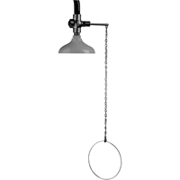 Lifesaver&reg; Emergency Overhead Showers, Ceiling-Mount GTA Hardware Inc