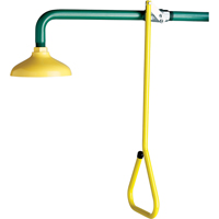 Lifesaver&reg; Emergency Overhead Showers, Wall-Mount GTA Hardware Inc