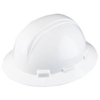 Dynamic Kilimanjaro Hardhat, Pinlock Suspension, ANSI Type I/CSA Type 1 GTA Hardware Inc