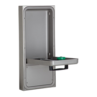 Eye/Face Wash Station, Wall-Mount Installation GTA Hardware Inc