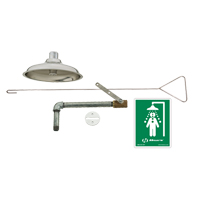 Drench Shower, Ceiling-Mount GTA Hardware Inc