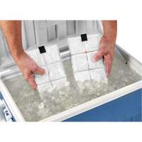 Sachets pour veste de refroidissement &agrave; changement de phase 6260 Chill-Its GTA Hardware Inc