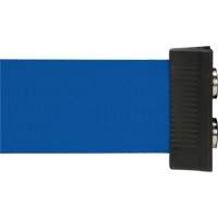 Wall Mount Barrier with Magnetic Tape, Steel, Screw Mount, 7', Blue Tape GTA Hardware Inc