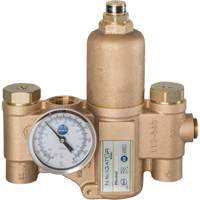 Robinet mitigeur thermostatique pour luminaires durgence Navigator EFX20, 30 gal./min GTA Hardware Inc